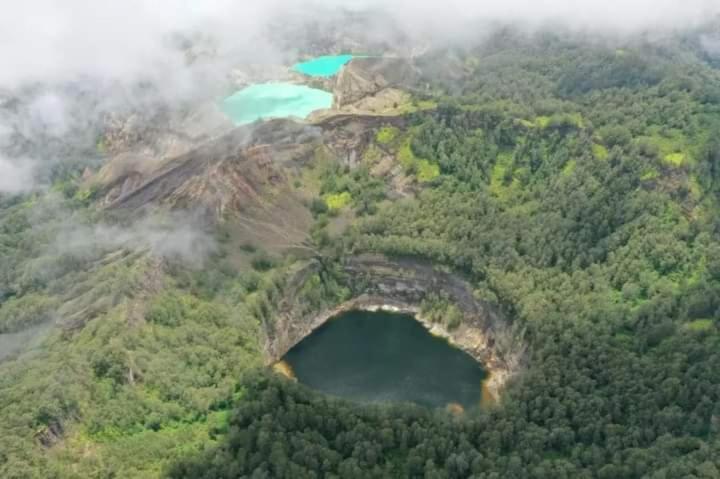 Wisma Kelimutu Ende Dış mekan fotoğraf